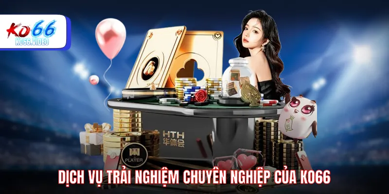 Dịch vụ trải nghiệm chuyên nghiệp của KO66