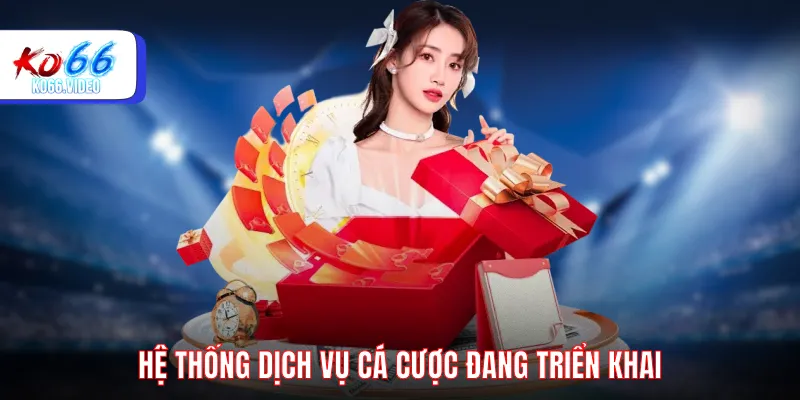 Dịch vụ cá cược đang triển khai trên KO66