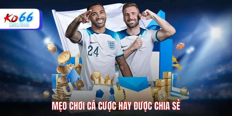 Mẹo chơi cá cược hay được chia sẻ