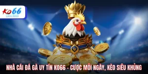 Nhà cái đá gà uy tín