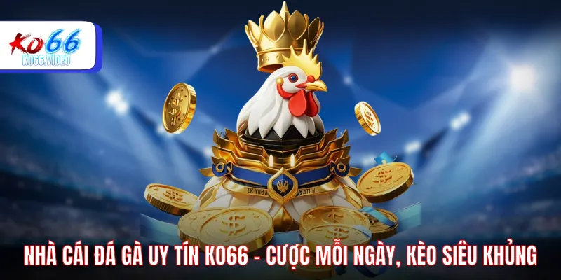 Nhà cái đá gà uy tín