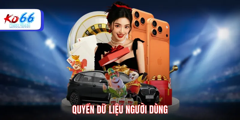 Quyền dữ liệu người dùng