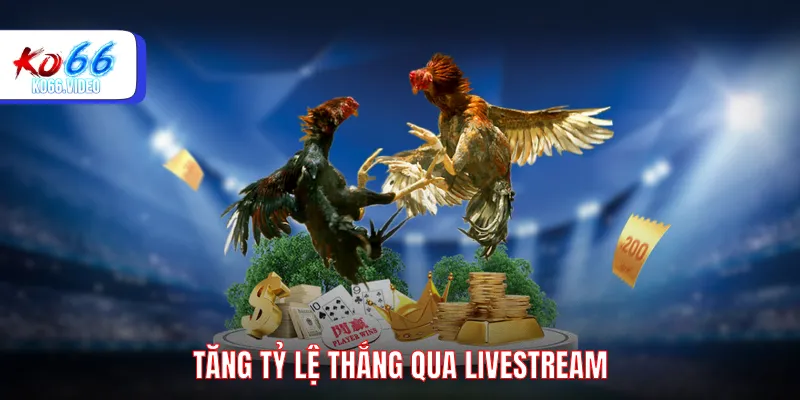 Tăng tỷ lệ thắng qua livestream