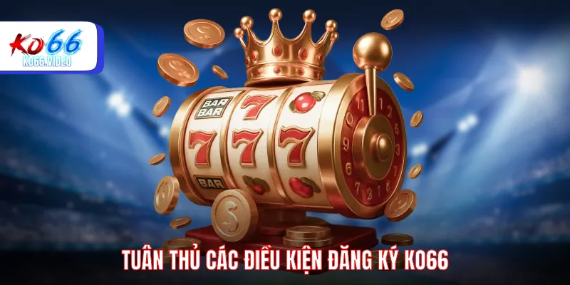 Tuân thủ các điều kiện đăng ký KO66